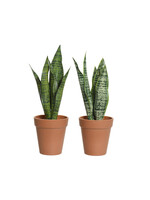 Everlands Artificial Sansevieria Plant in a Pot 28 x 13cm - two styles