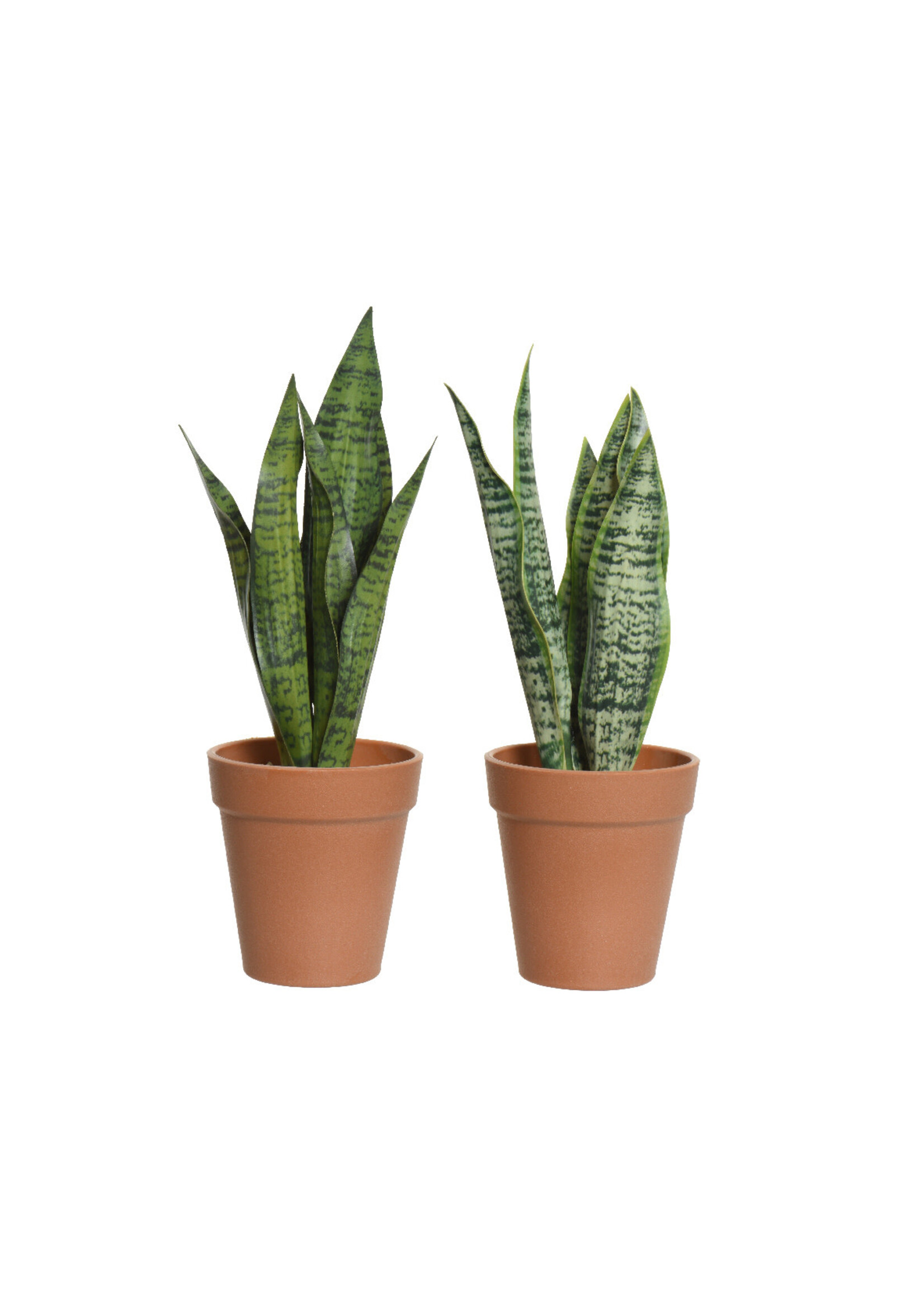 Everlands Artificial Sansevieria Plant in a Pot 28 x 13cm - two styles