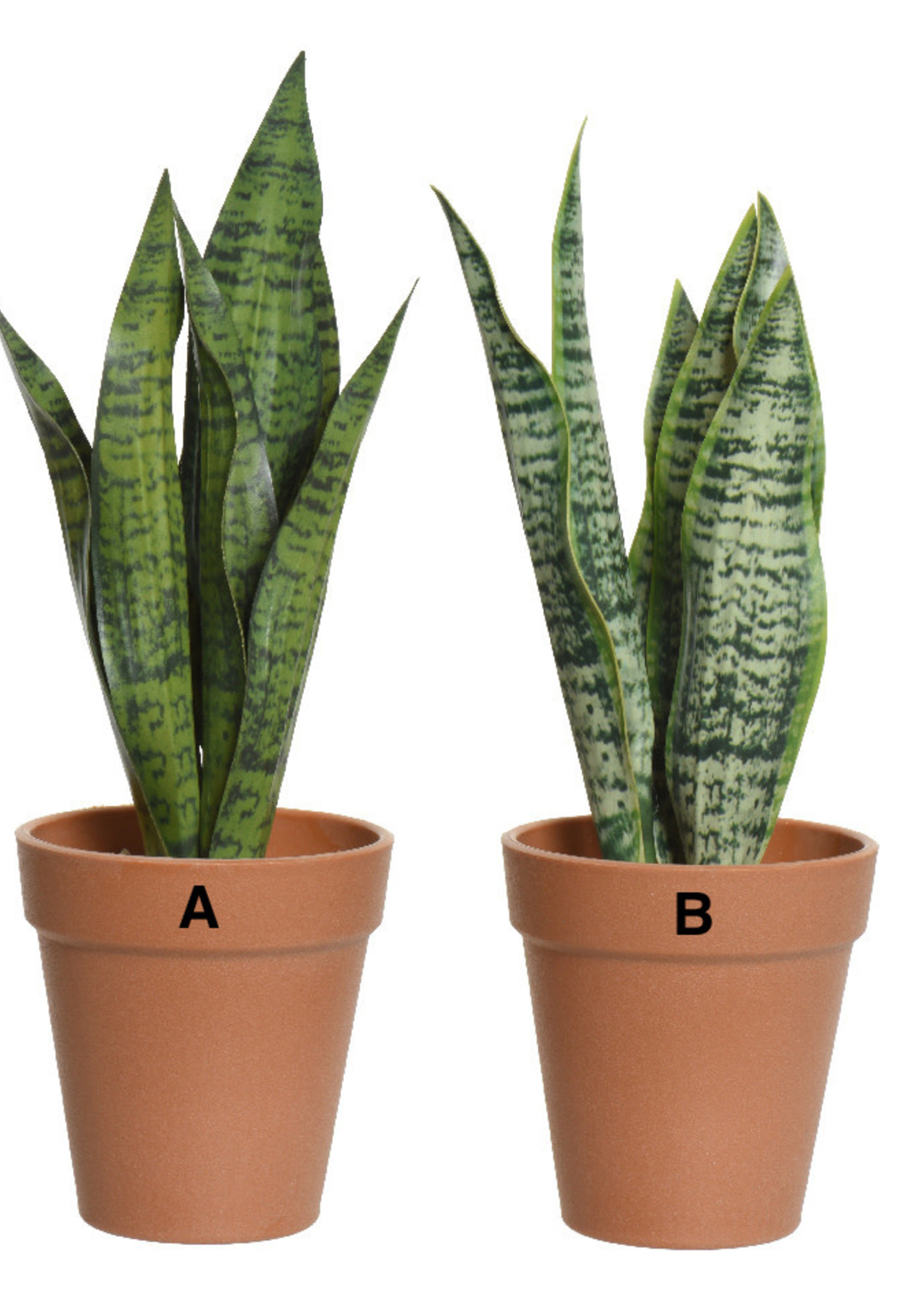 Everlands Artificial Sansevieria Plant in a Pot 28 x 13cm - two styles