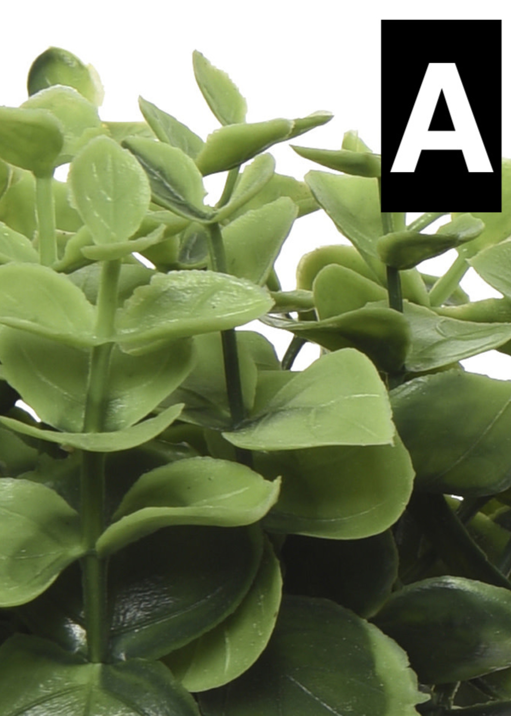 Artificial String of Pearls in Grey Cement Plant Pot