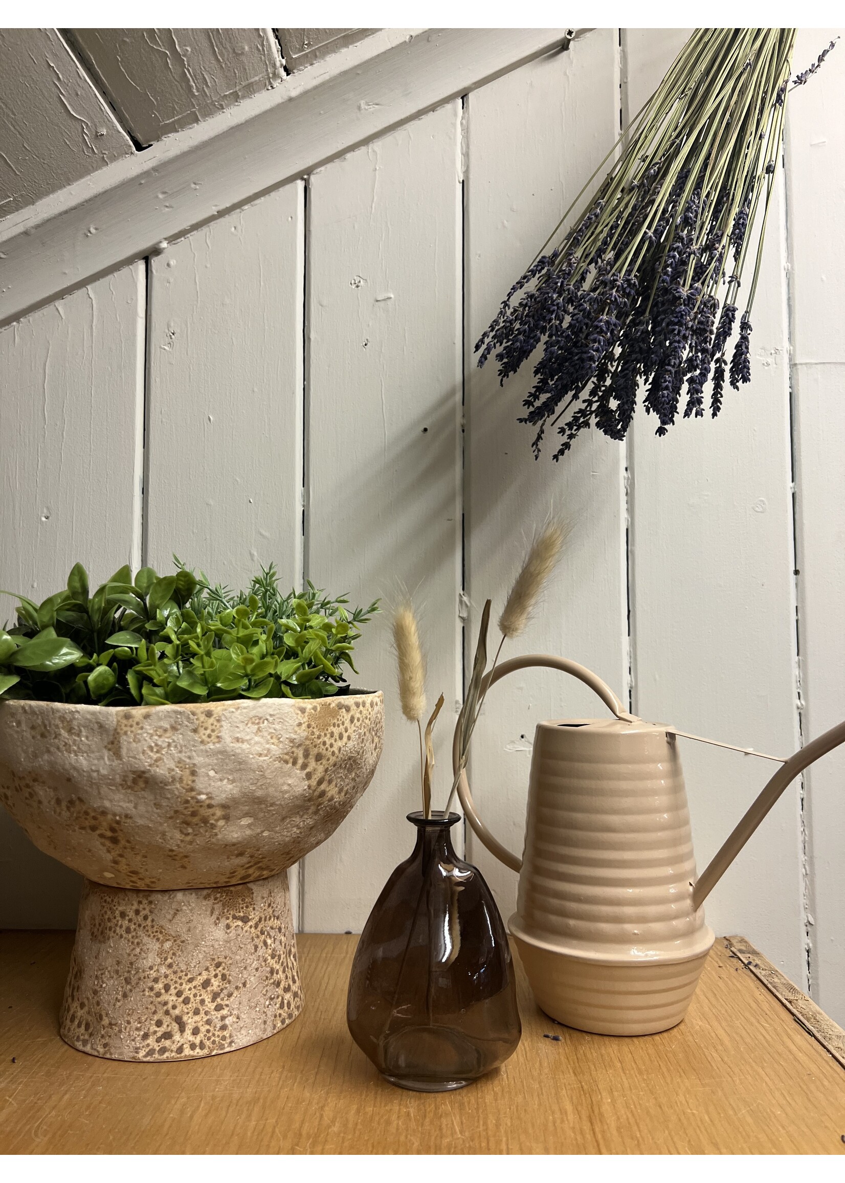 Decoris Coloured Galvanised Watering Can 19 x 23 x 10cm