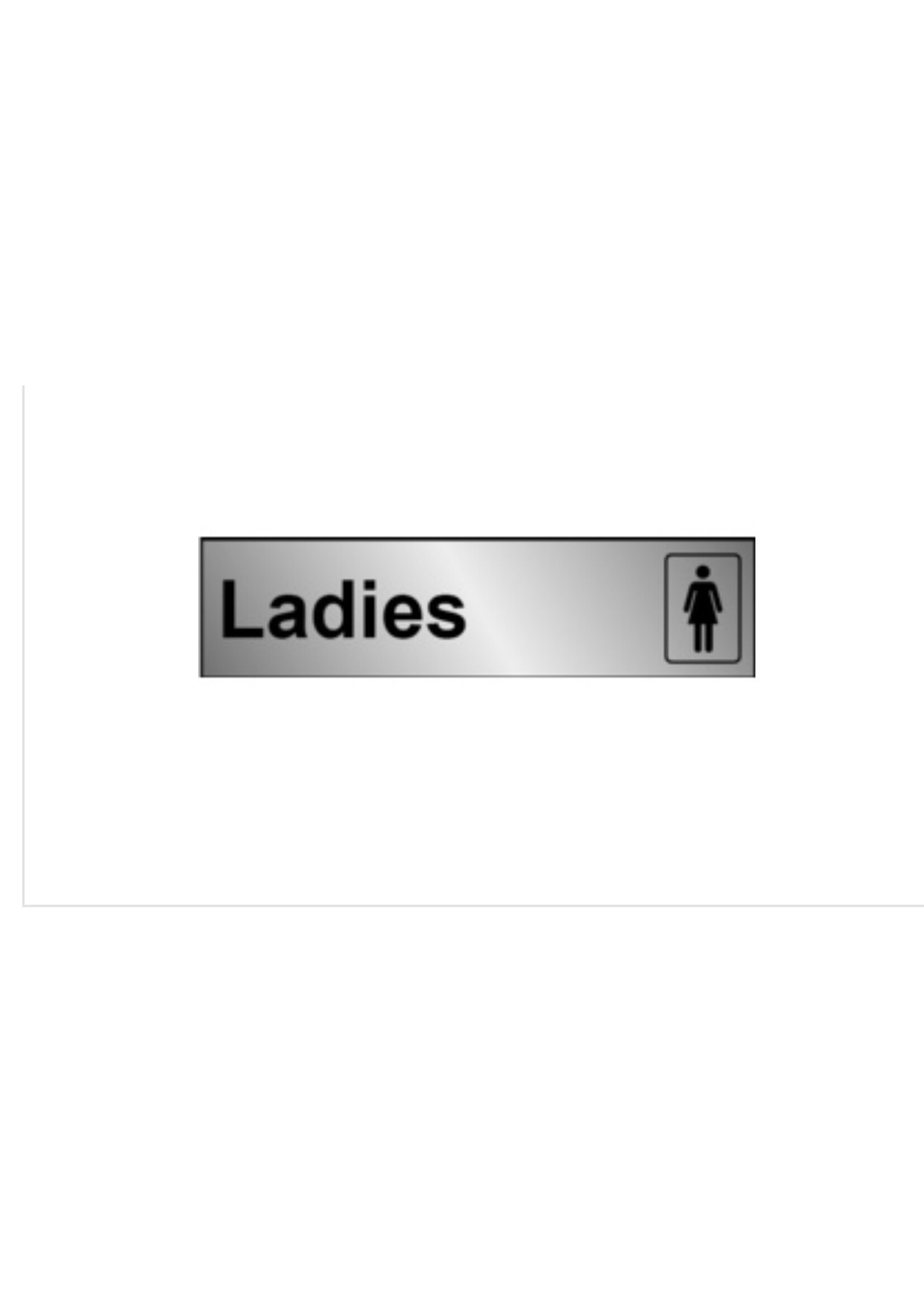 House Nameplate Co Metal Effect Ladies Information Sign  200mm x 50mm