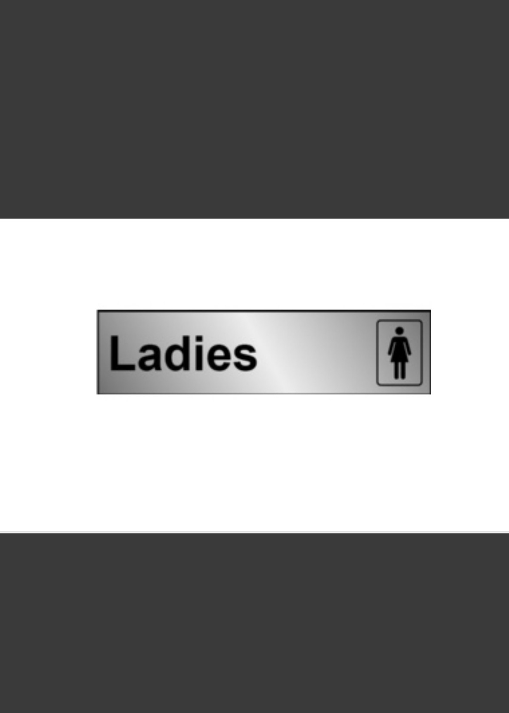 House Nameplate Co Metal Effect Ladies Information Sign  200mm x 50mm