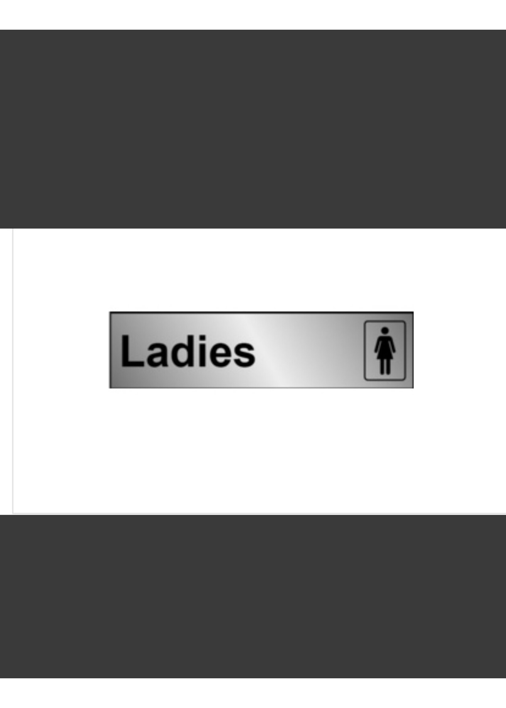 House Nameplate Co Metal Effect Ladies Information Sign  200mm x 50mm