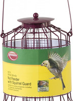 Ambassador Ambassador Wild Birds Nut Feeder With Squirrel Guard