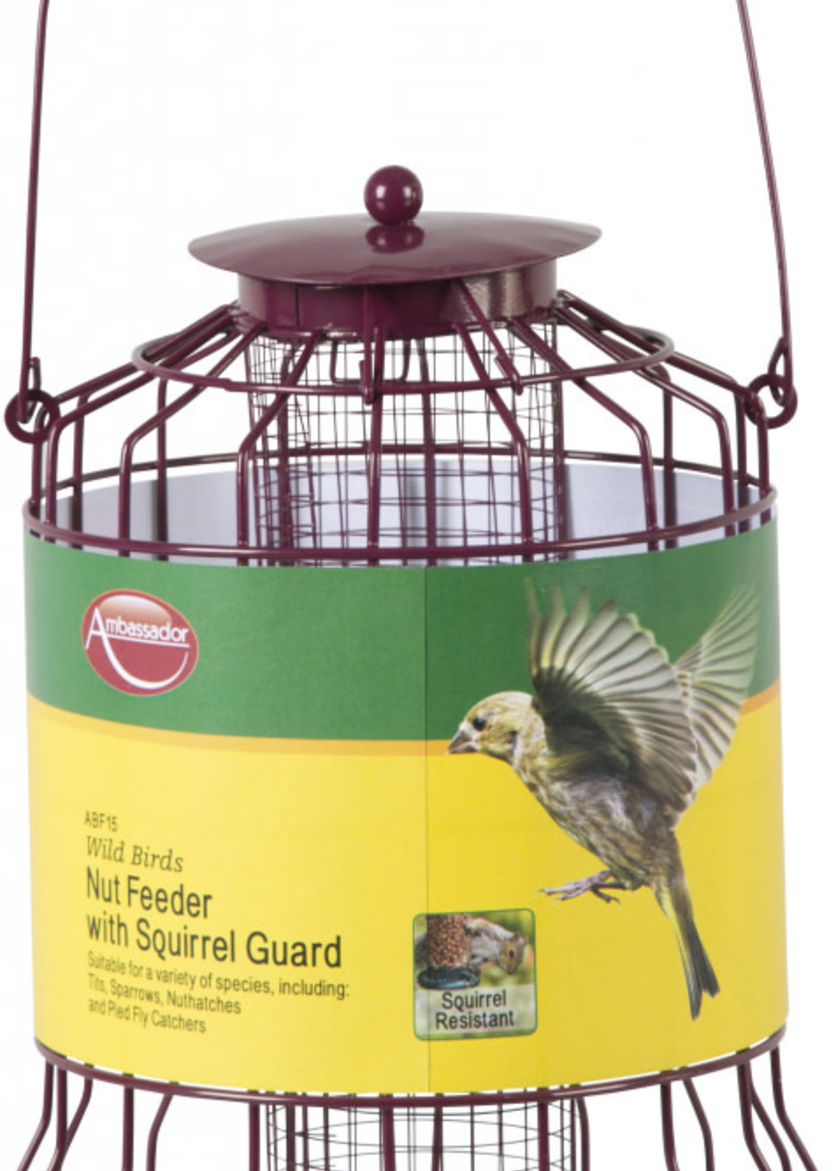 Ambassador Ambassador Wild Birds Nut Feeder With Squirrel Guard