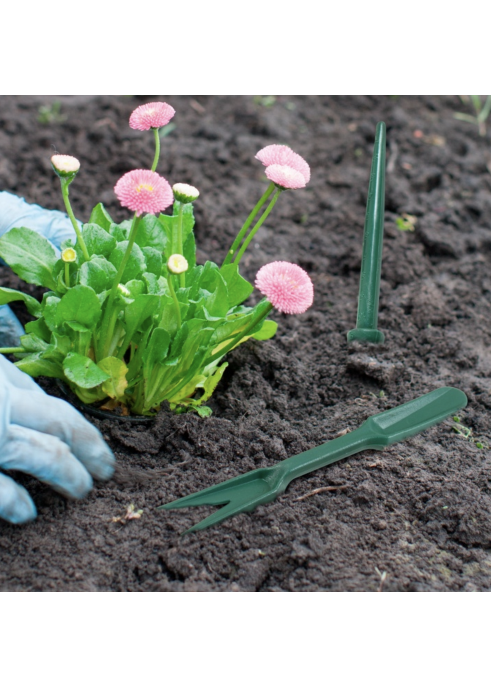 Ambassador Dibber and Label Set 25 Piece