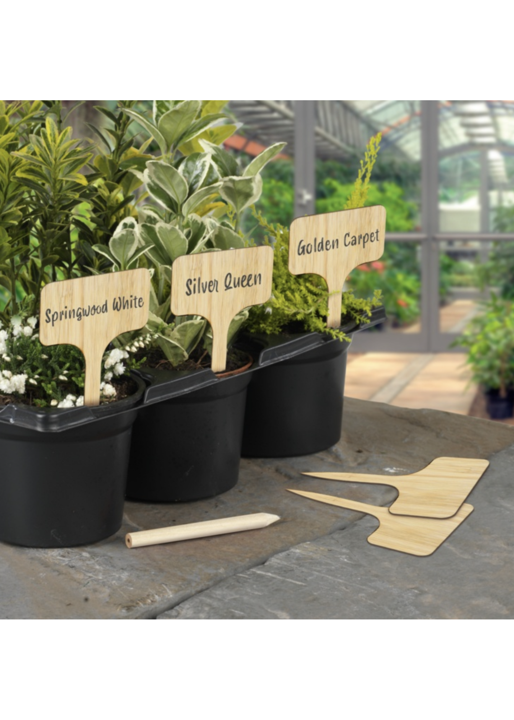 Ambassador Ambassador Bamboo T Plant Labels & Pencil 10 Piece 4”