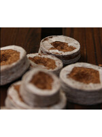 Coir Coir Biodegradable Coins for Sowing 25mm 50 Pack