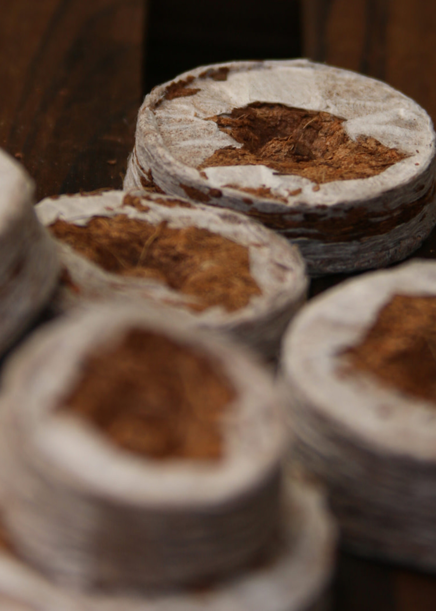 Coir Coir Biodegradable Coins for Sowing 25mm 50 Pack