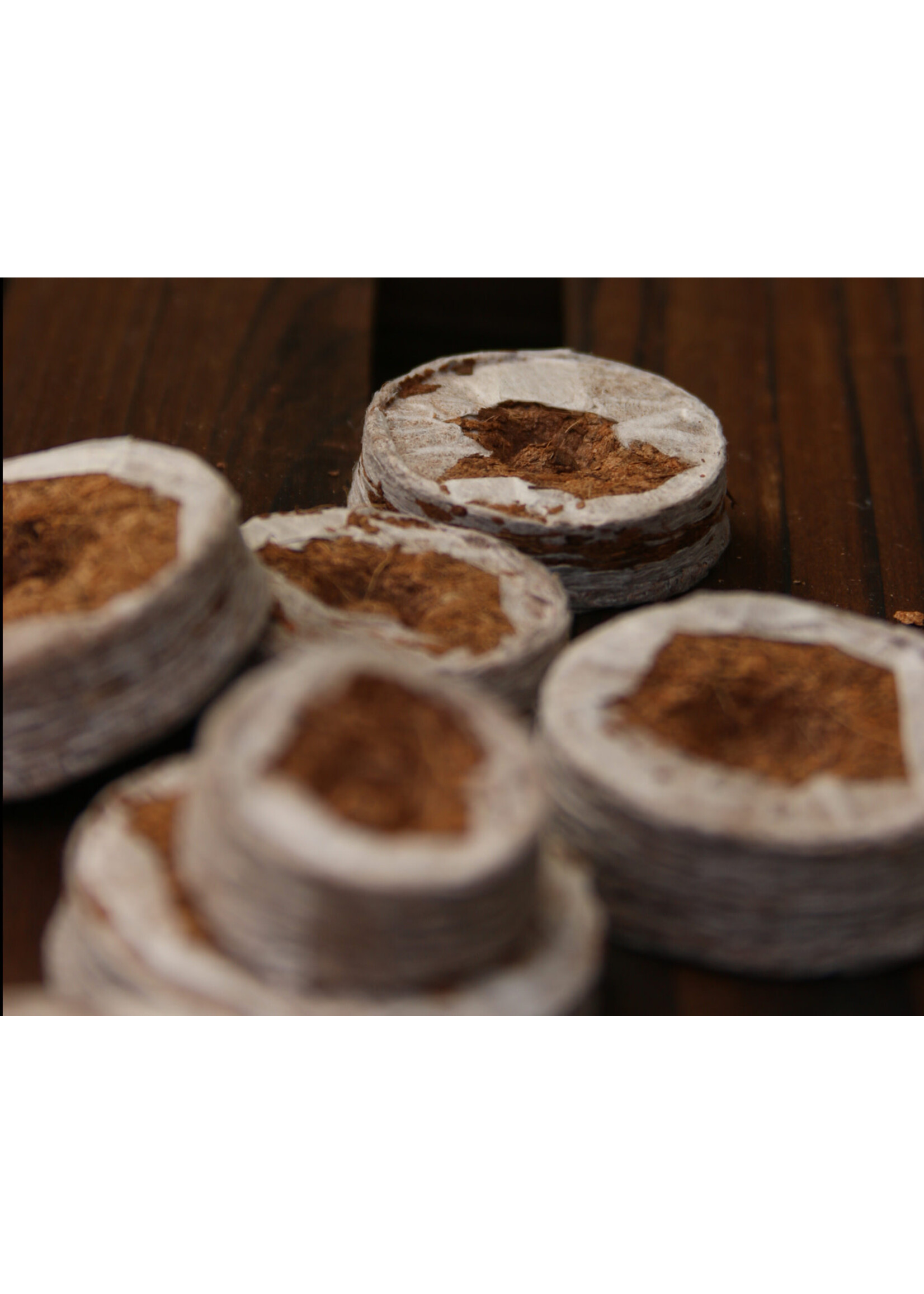 Coir Coir Biodegradable Coins for Sowing 25mm 50 Pack