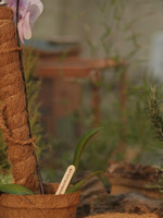 Coir Coir Moss Grow Pole 100cm