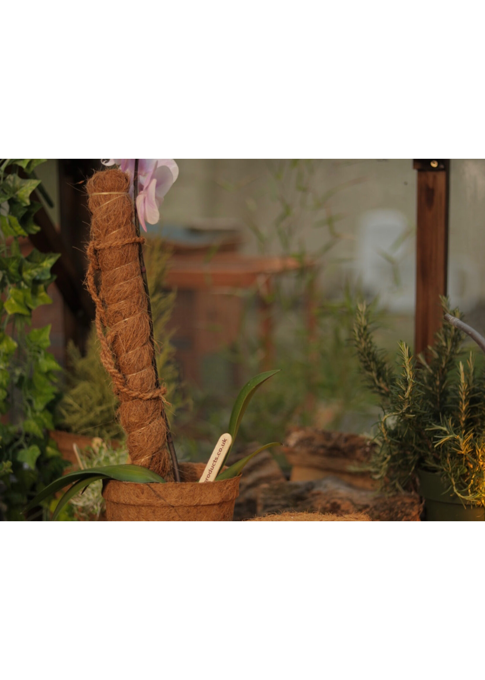 Coir Coir Moss Grow Pole 100cm