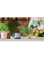 Sass & Belle Midnight Mojave Glaze Mug