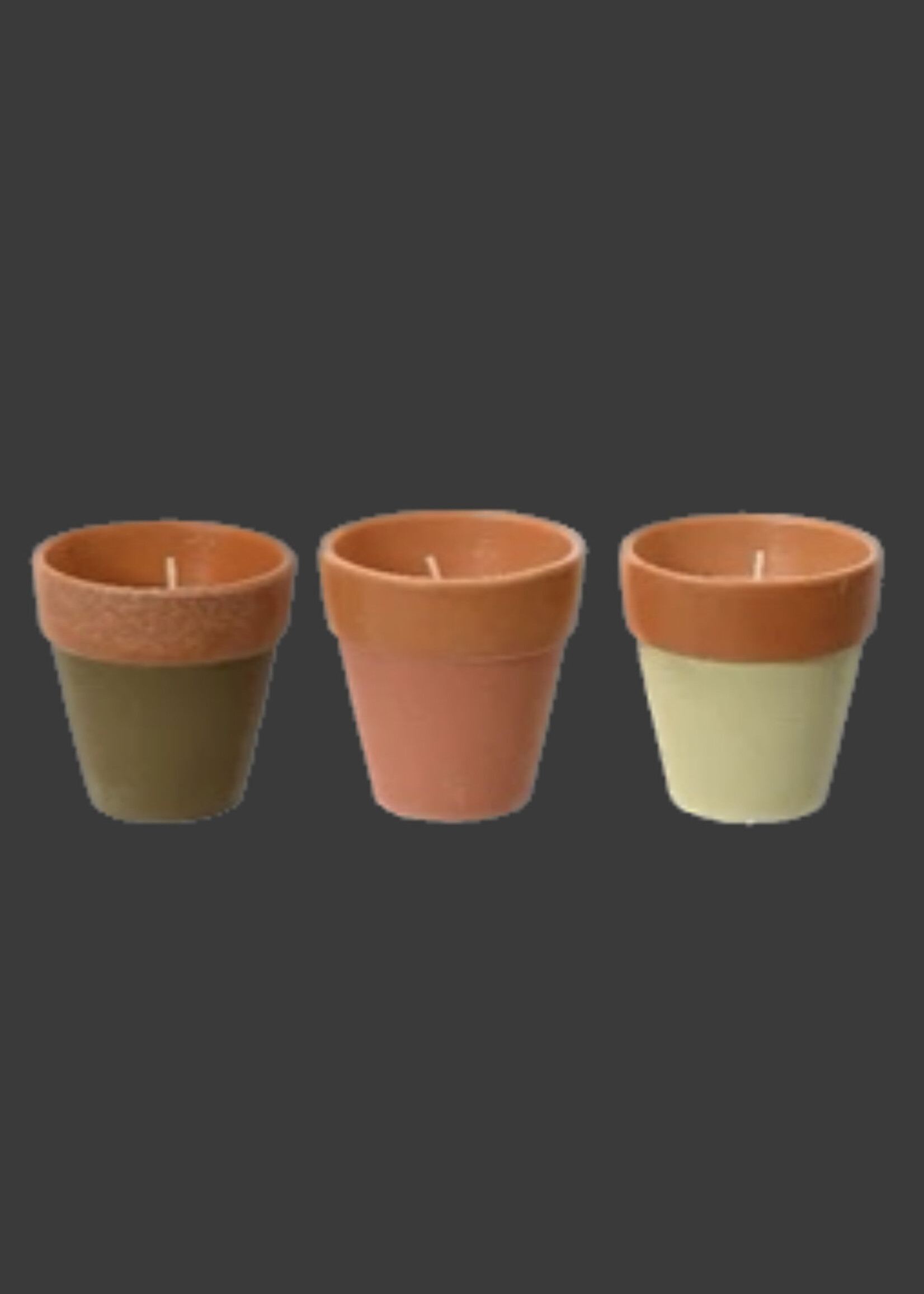 Decoris Citronella Candle In a Plant Pot 12 Hours  (3 Assorted Colours - Price per Pot)