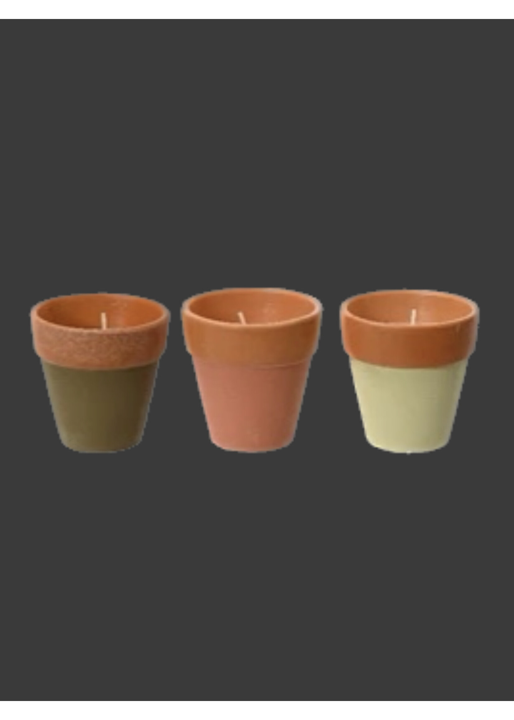 Decoris Citronella Candle In a Plant Pot 12 Hours  (3 Assorted Colours - Price per Pot)
