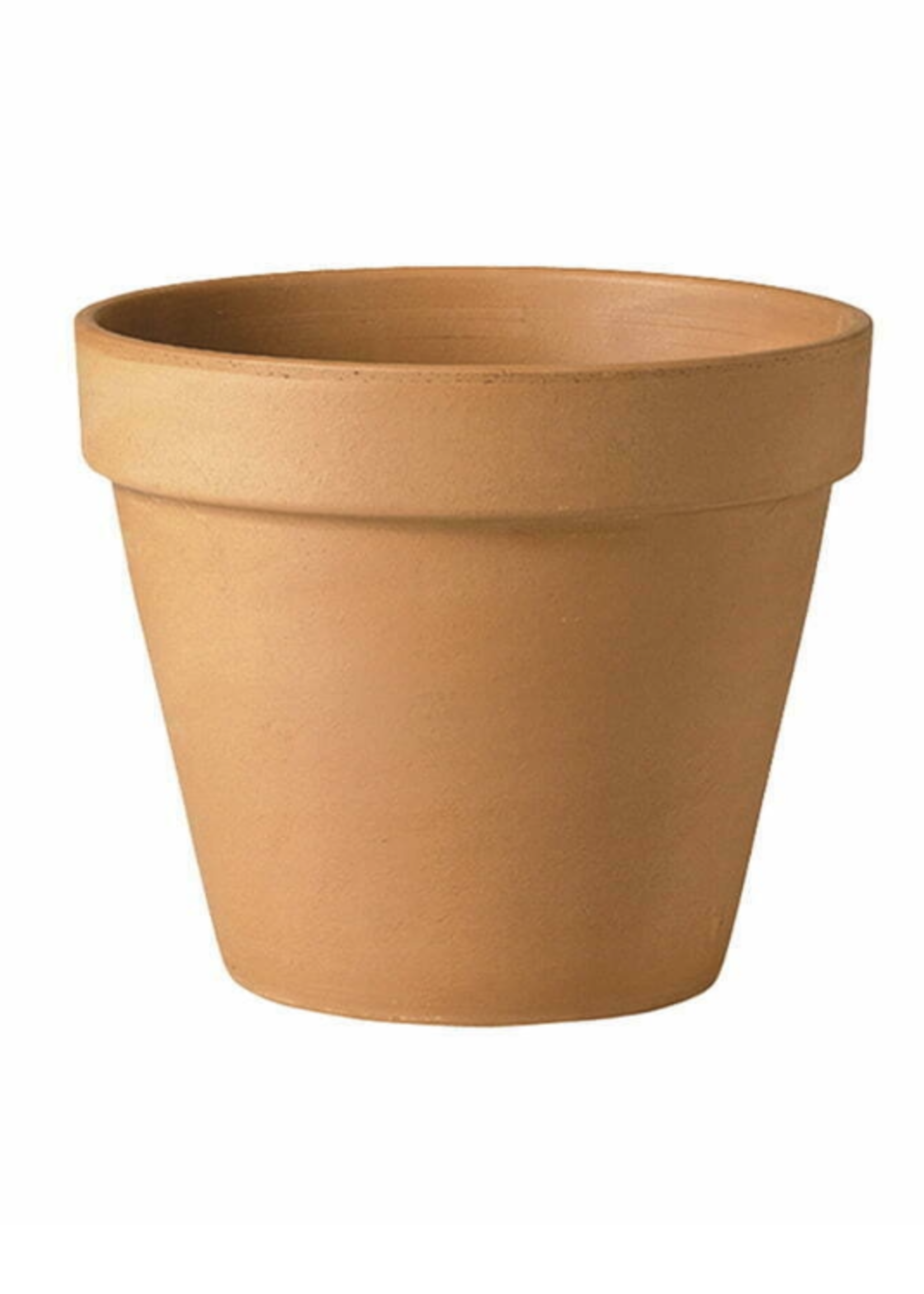 Verona Terracotta Standard Pot 21cm