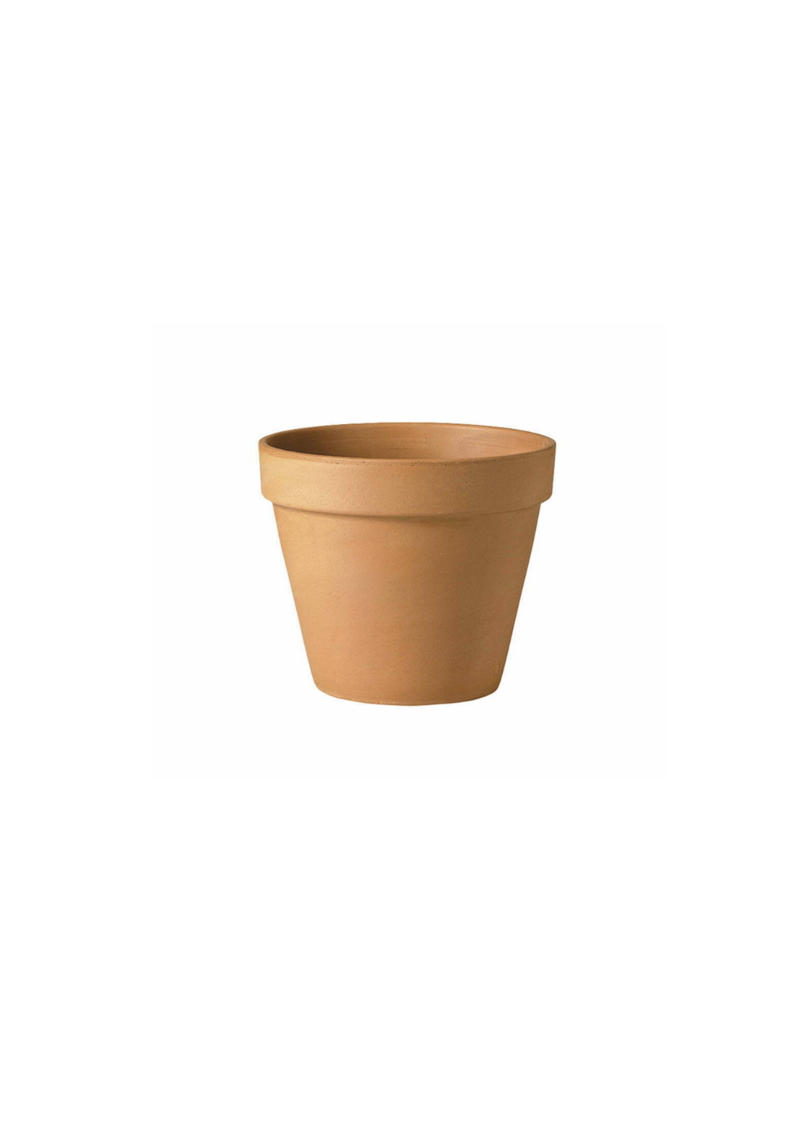 Verona Terracotta Standard Pot 21cm