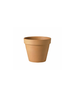 Verona Terracotta Standard Pot 13cm