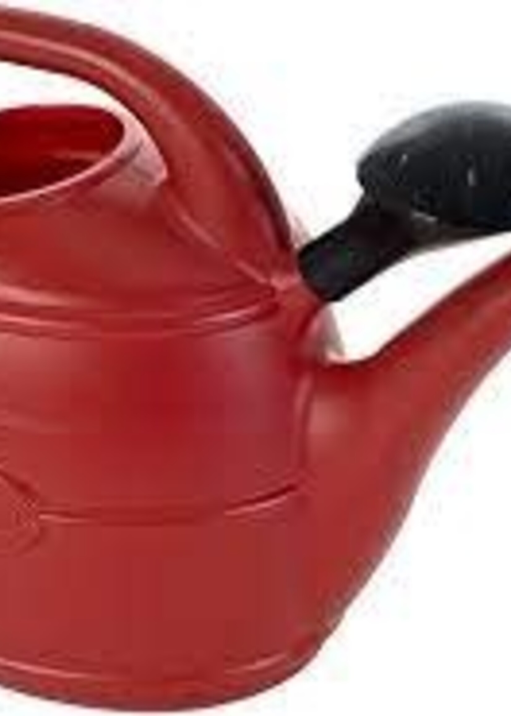 Ward Ward Watering Can 5lt