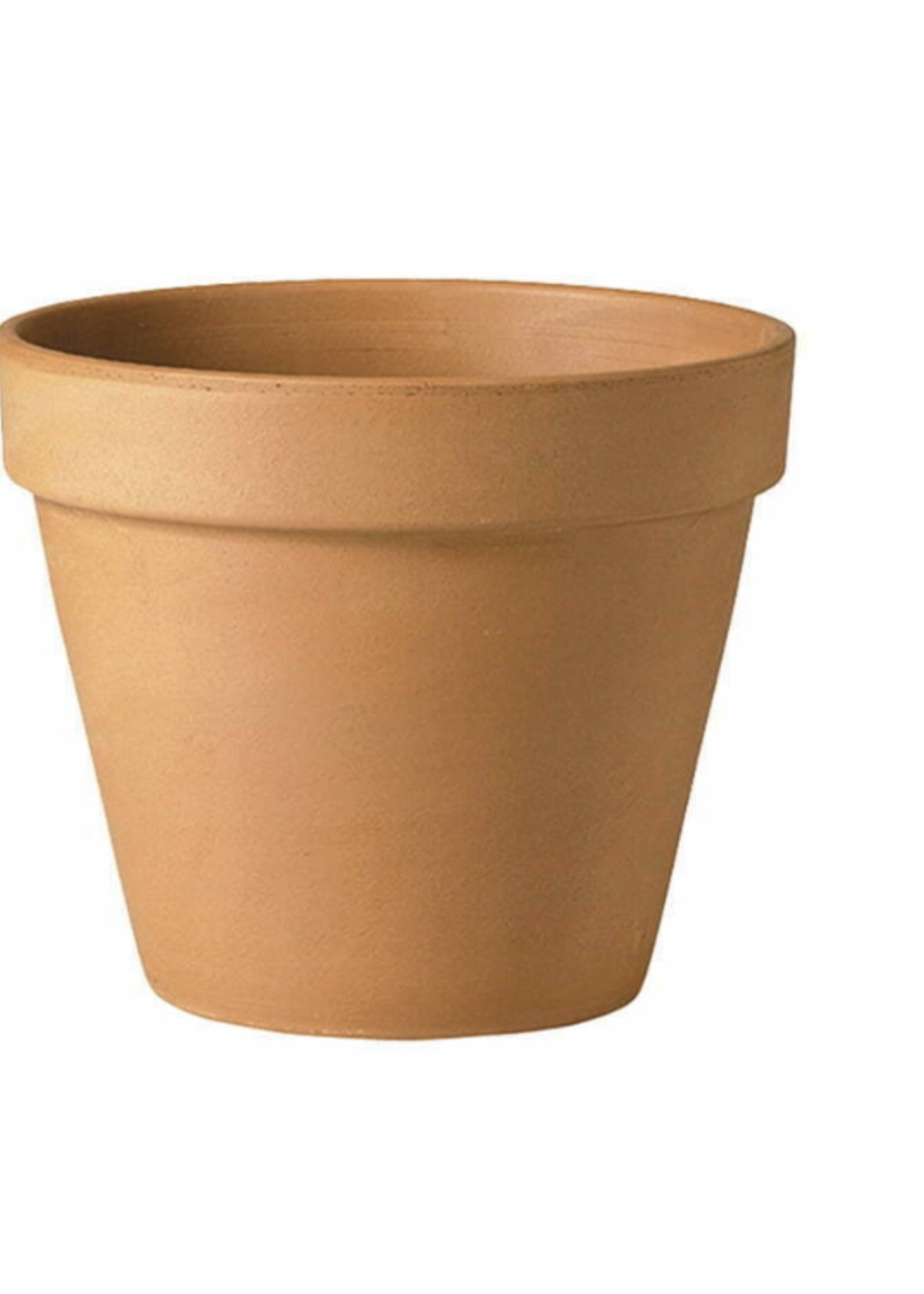 Verona Terracotta Standard Pot 11cm