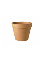 Verona Terracotta Standard Pot 15cm