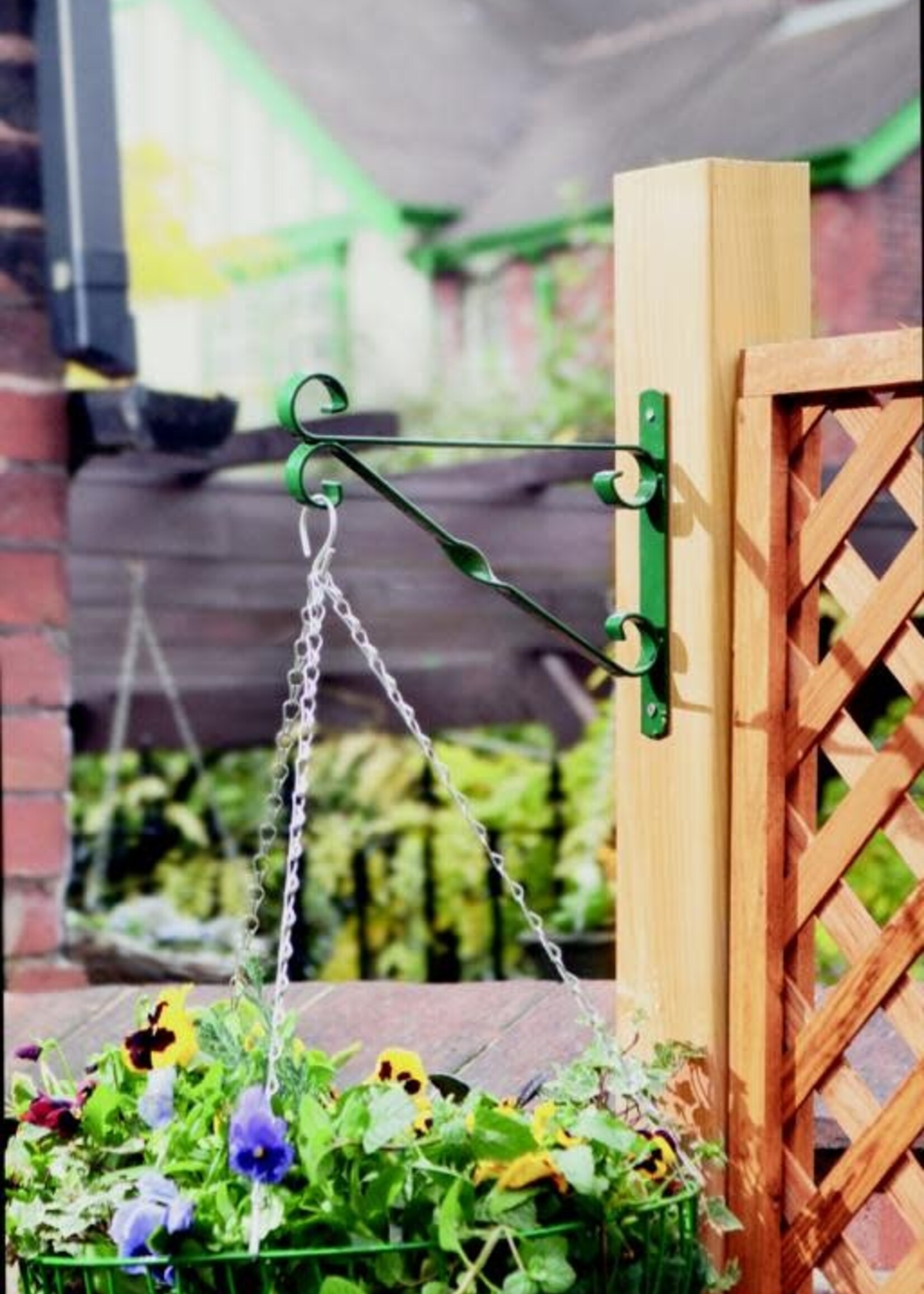 Ambassador Ambassador Hanging Basket Bracket 35cm / 14" Green