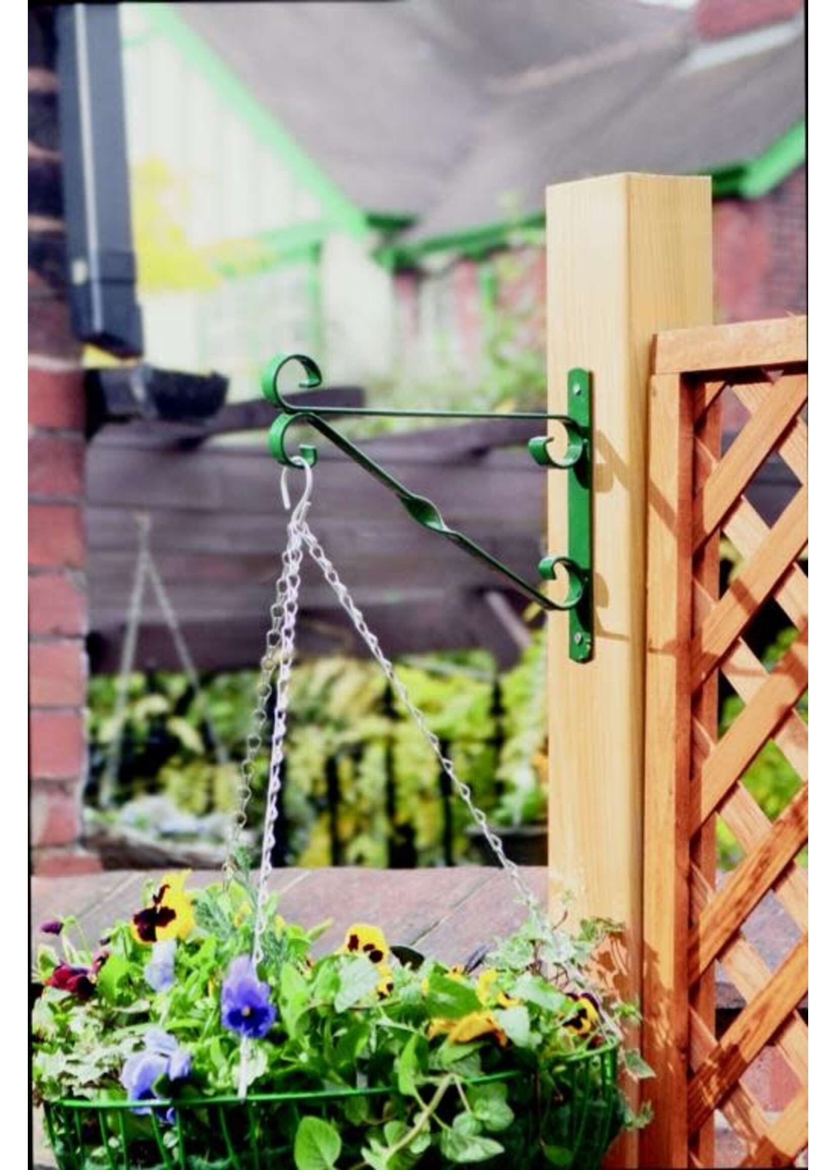 Ambassador Ambassador Hanging Basket Bracket 35cm / 14" Green
