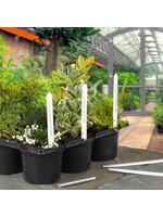 Ambassador Ambassador Plant Labels Pack 50 6"