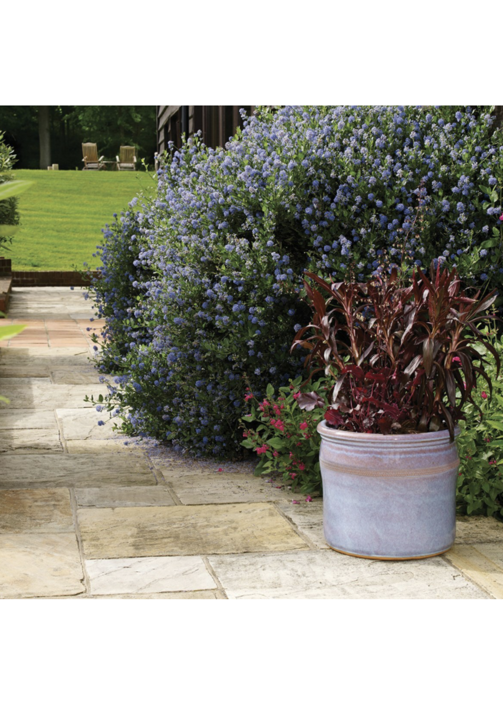 Chamberlain Balmoral Cylinder 23cm *3 colours*