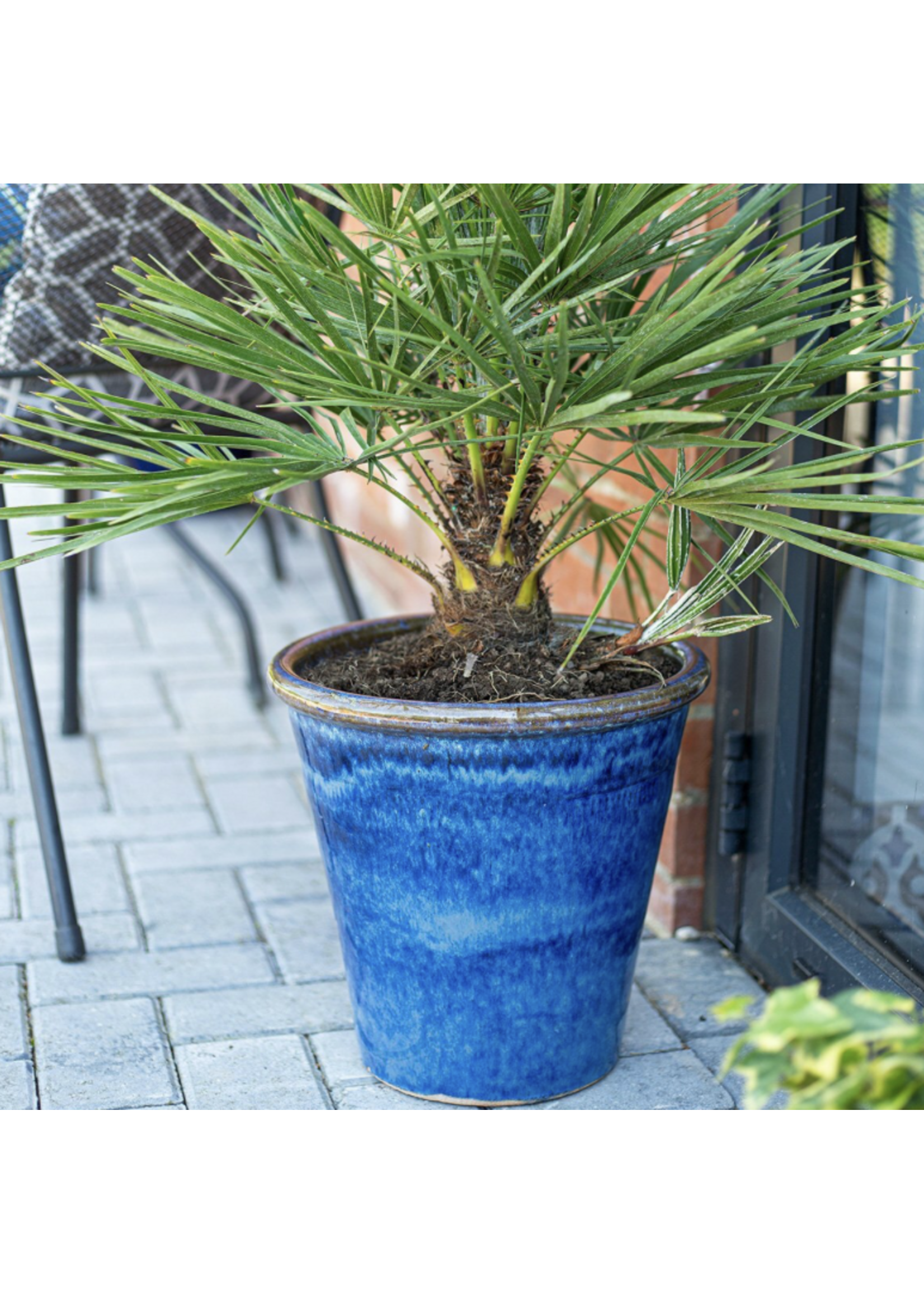 Chamberlain Balmoral Tall Cone 22cm *3 colours*