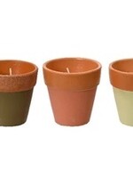 Decoris Citronella Candle In a Plant Pot 12 Hours  (3 Assorted Colours - Price per Pot)