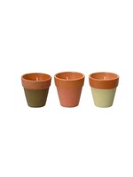 Decoris Citronella Candle In a Plant Pot 12 Hours  (3 Assorted Colours - Price per Pot)