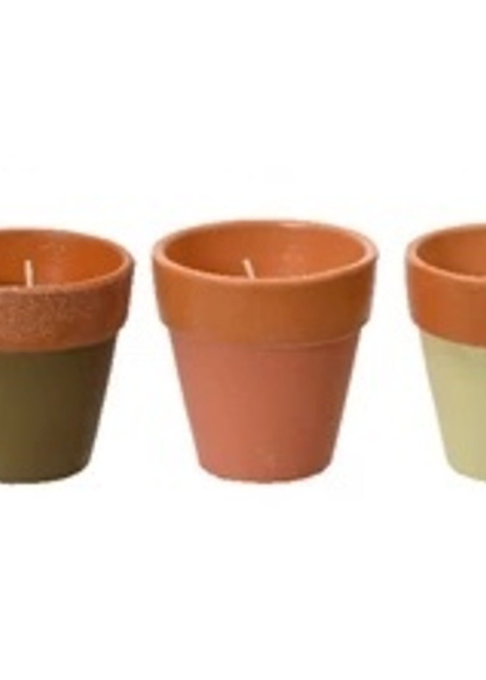 Decoris Citronella Candle In a Plant Pot 12 Hours  (3 Assorted Colours - Price per Pot)