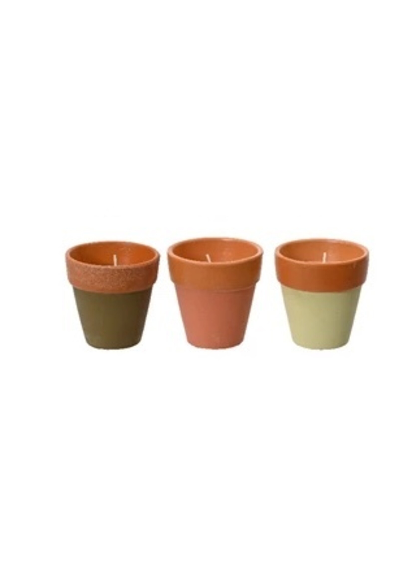 Decoris Citronella Candle In a Plant Pot 12 Hours  (3 Assorted Colours - Price per Pot)