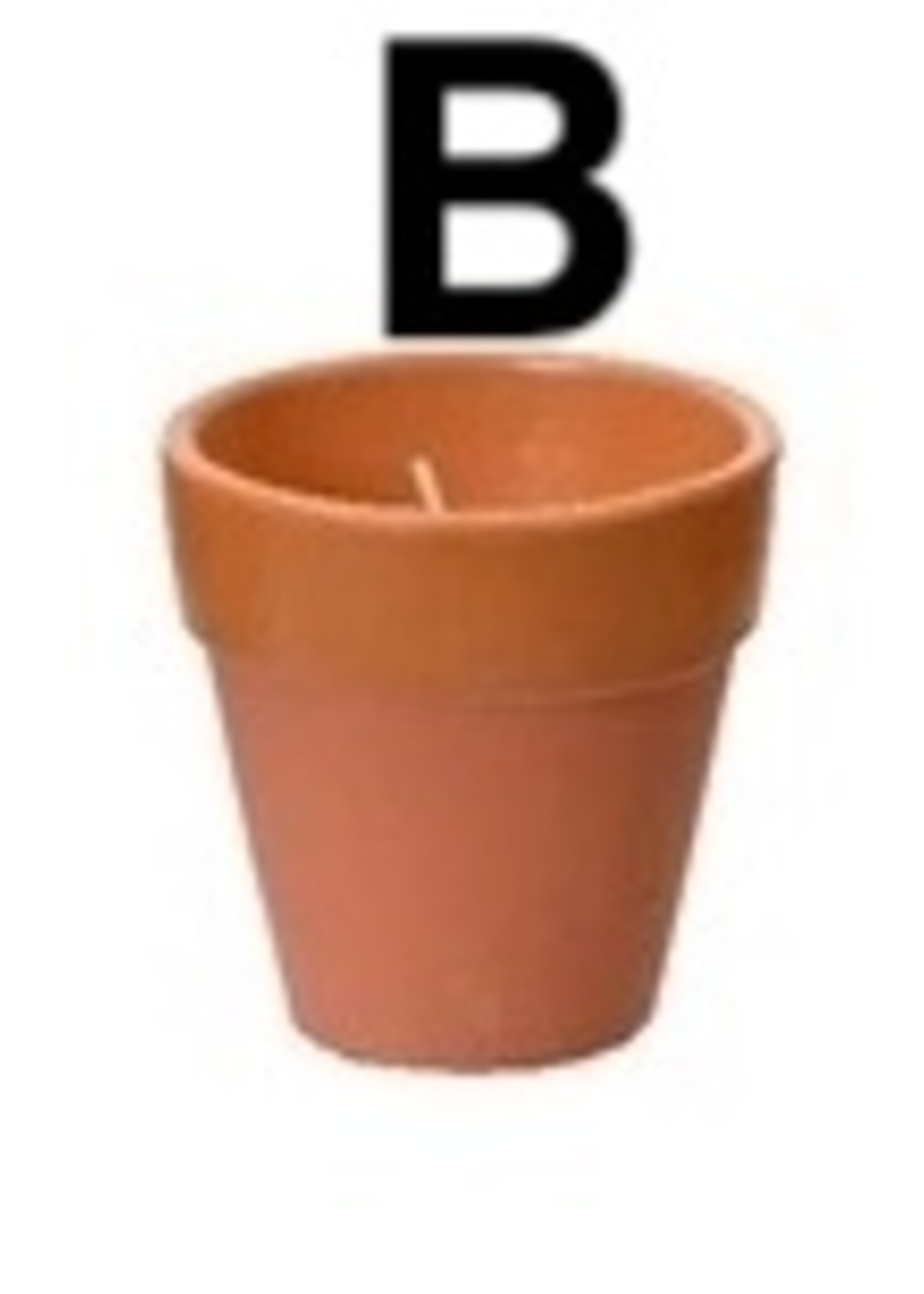Decoris Citronella Candle In a Plant Pot 12 Hours  (3 Assorted Colours - Price per Pot)