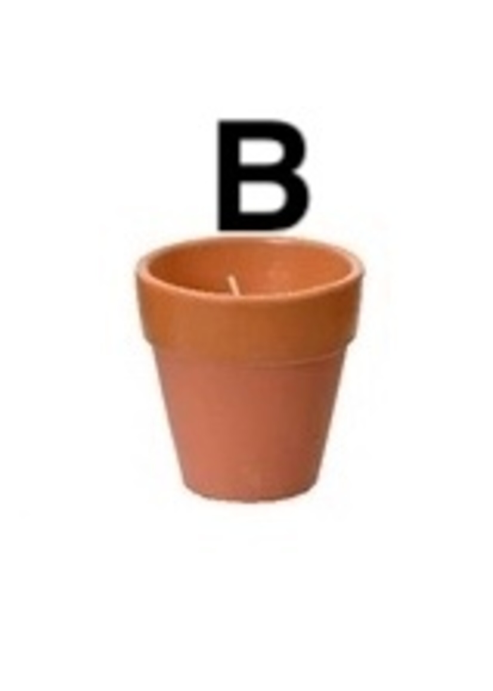 Decoris Citronella Candle In a Plant Pot 12 Hours  (3 Assorted Colours - Price per Pot)