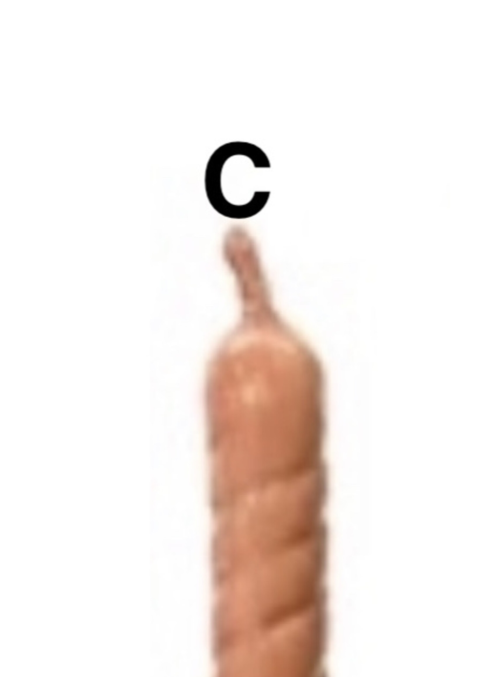 Decoris Citronella Garden Candle stick wand 1.5 hrs (4 colours - price is for one wand)