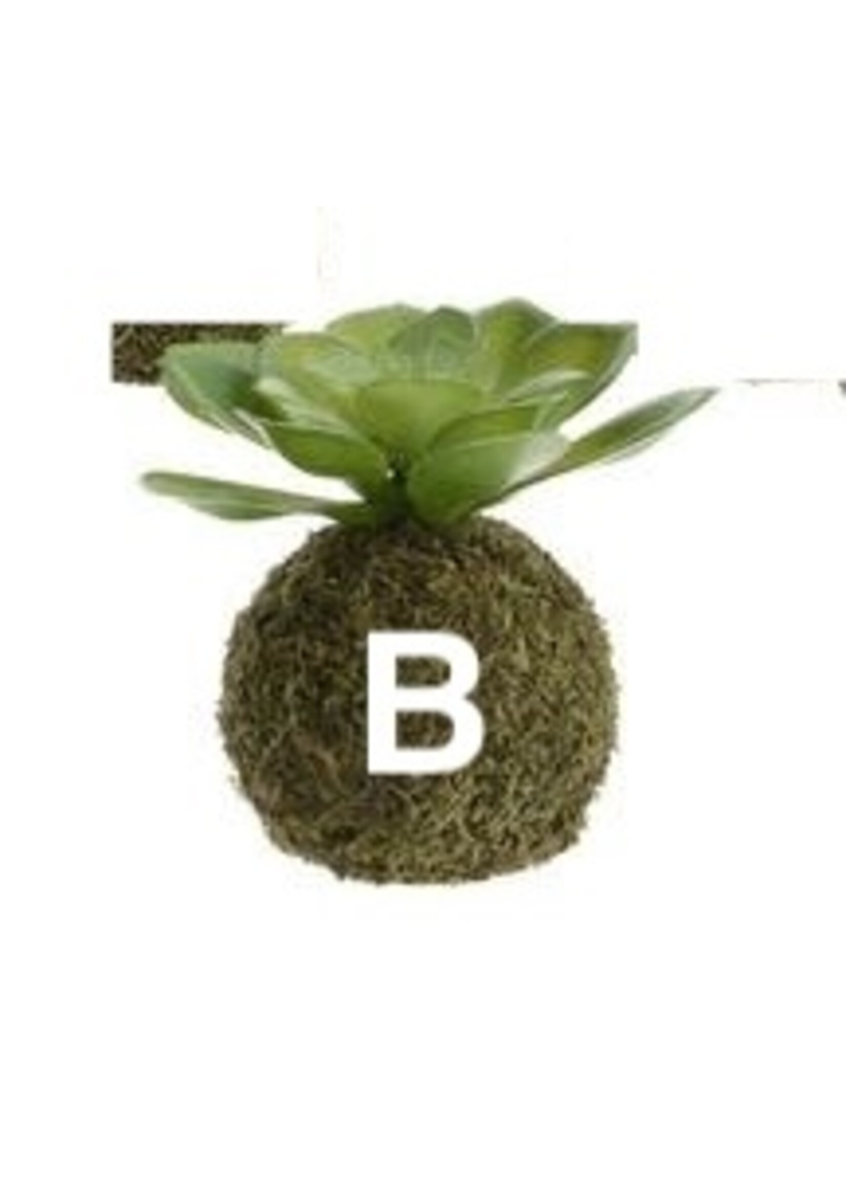 Kaemingk Moss Ball Succulent