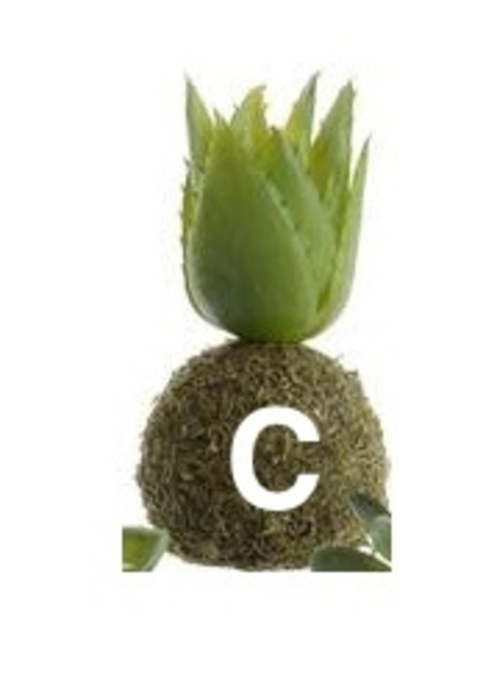 Kaemingk Moss Ball Succulent