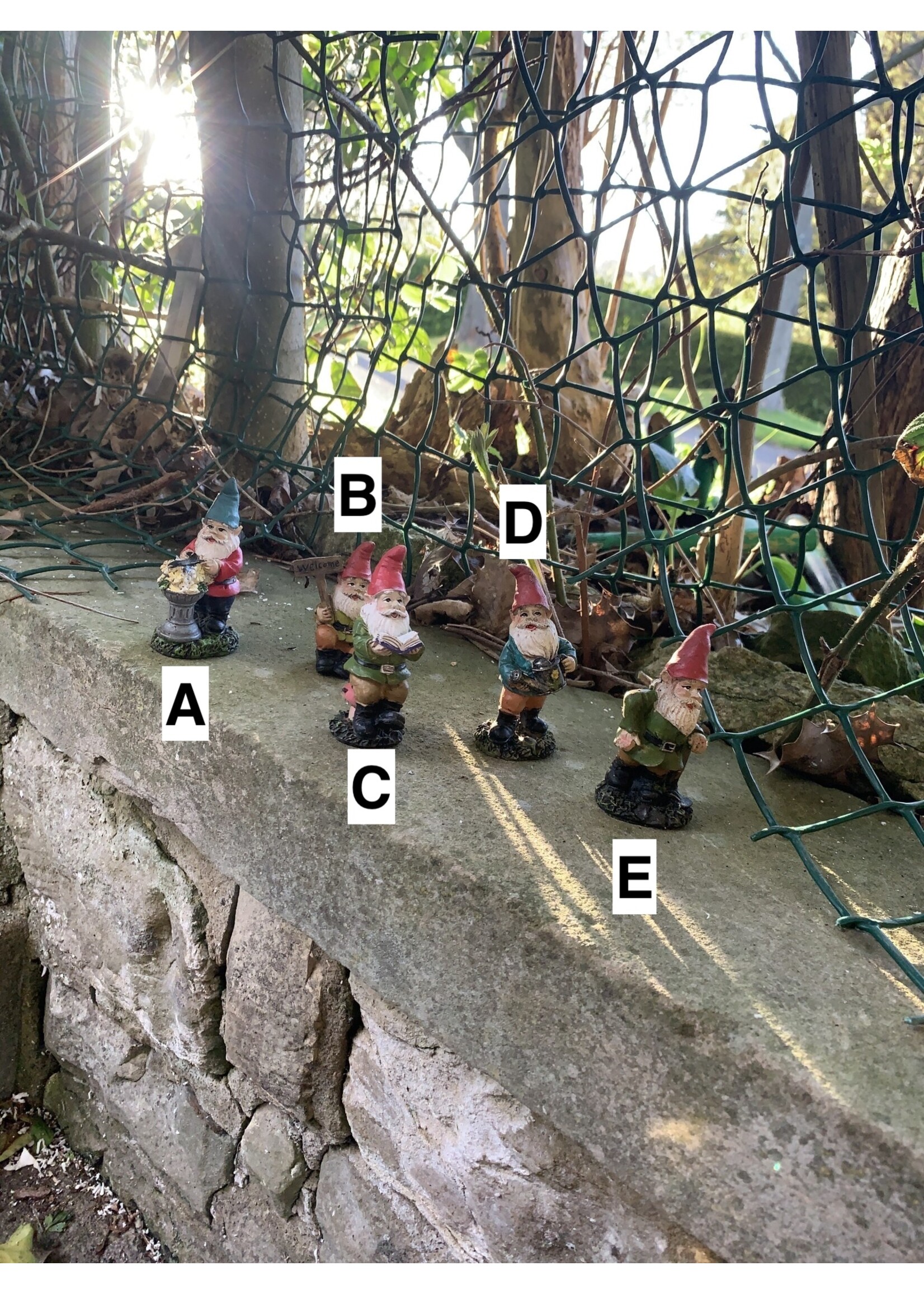 Kaemingk Fairy Garden Mini Gnome - assorted