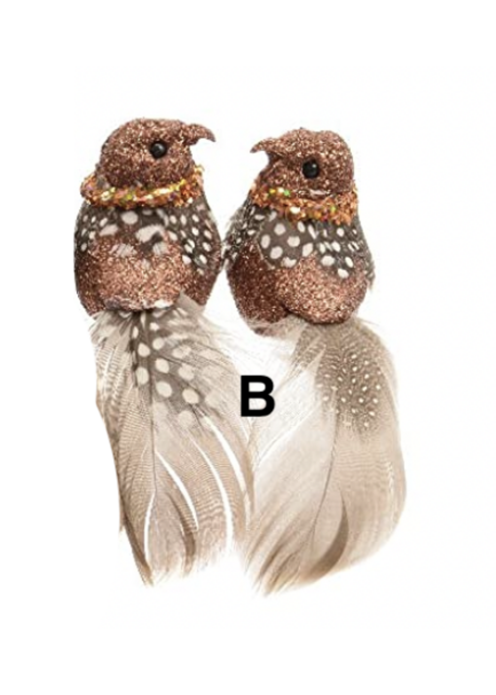 Decoris Clip on birds Box of 2