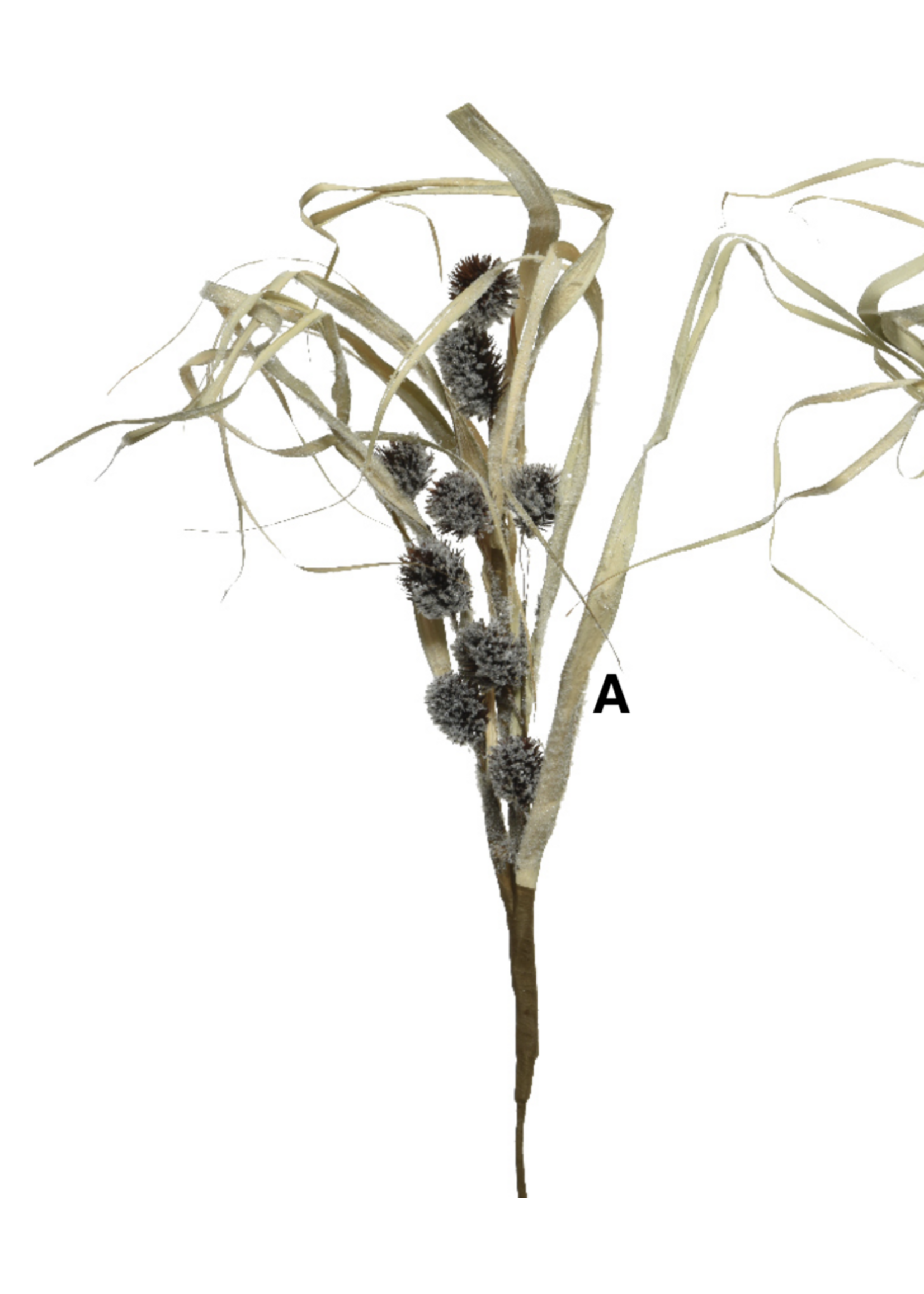 Everlands Thistle Grass Cornleaf Stem 65cm