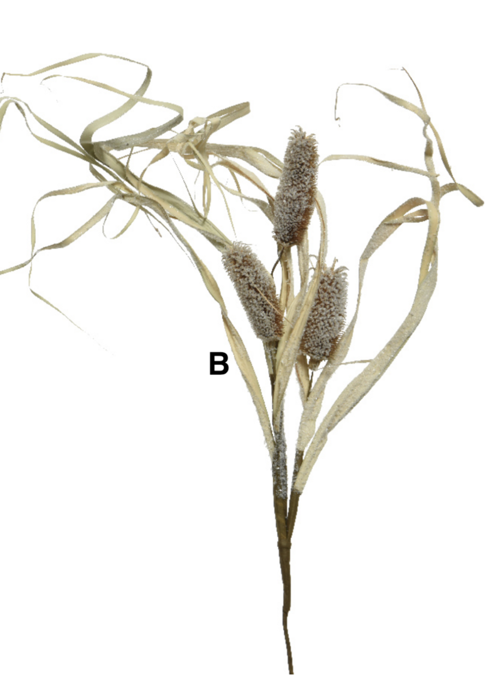 Everlands Thistle Grass Cornleaf Stem 65cm