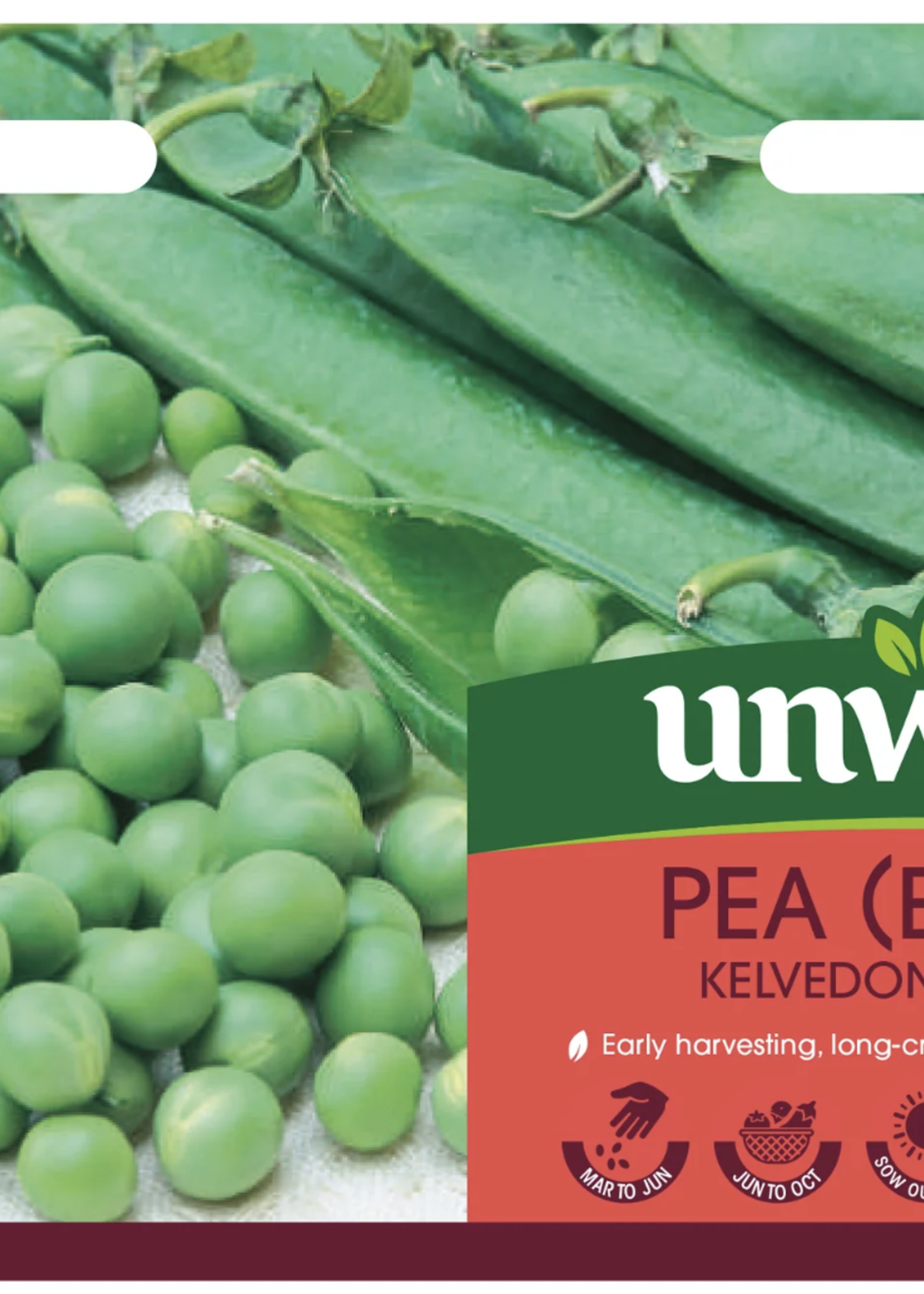 Unwins Pea (Early) -Kelvedon Wonder
