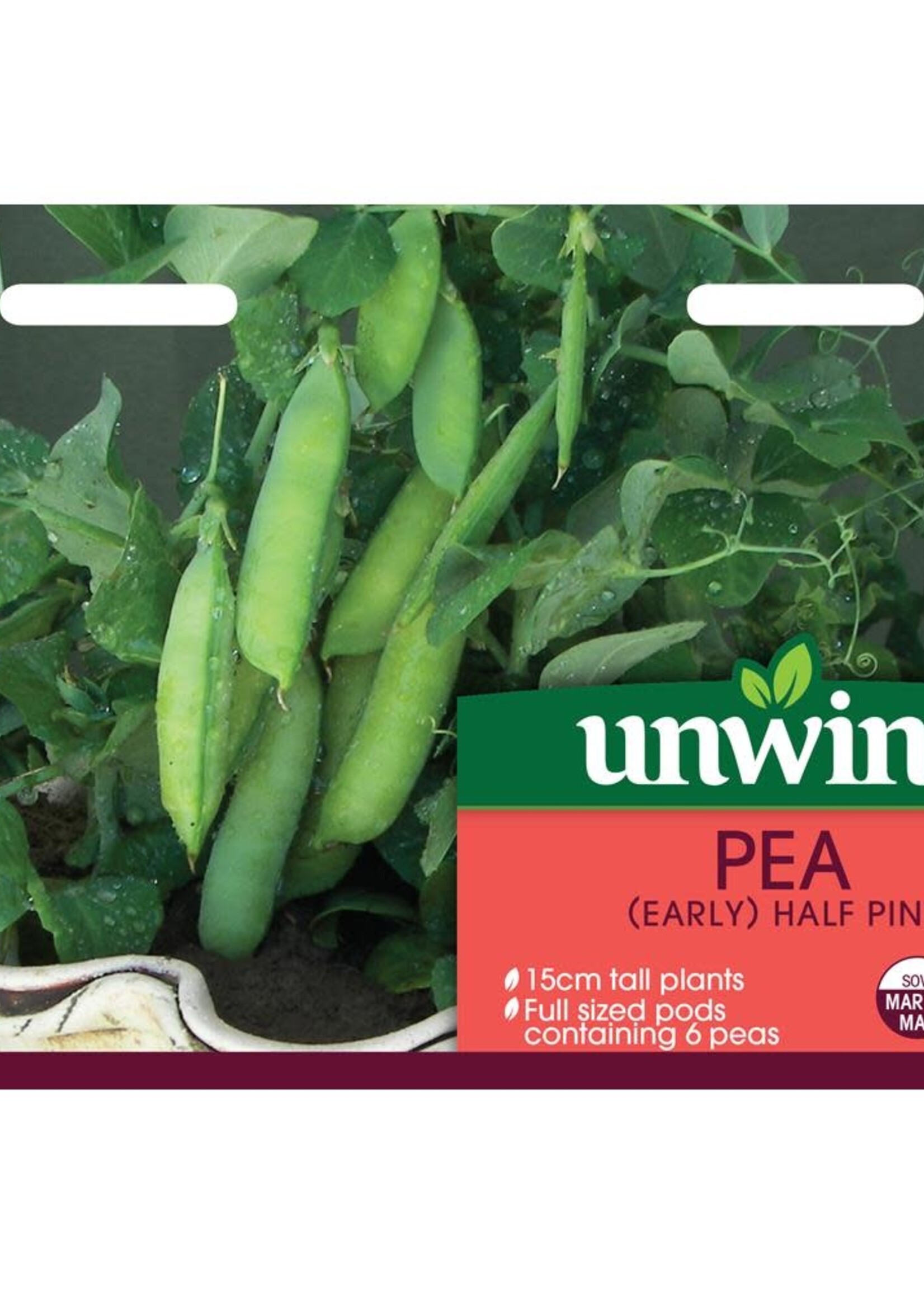 Unwins Pea (Early) - Half Pint Dwarf