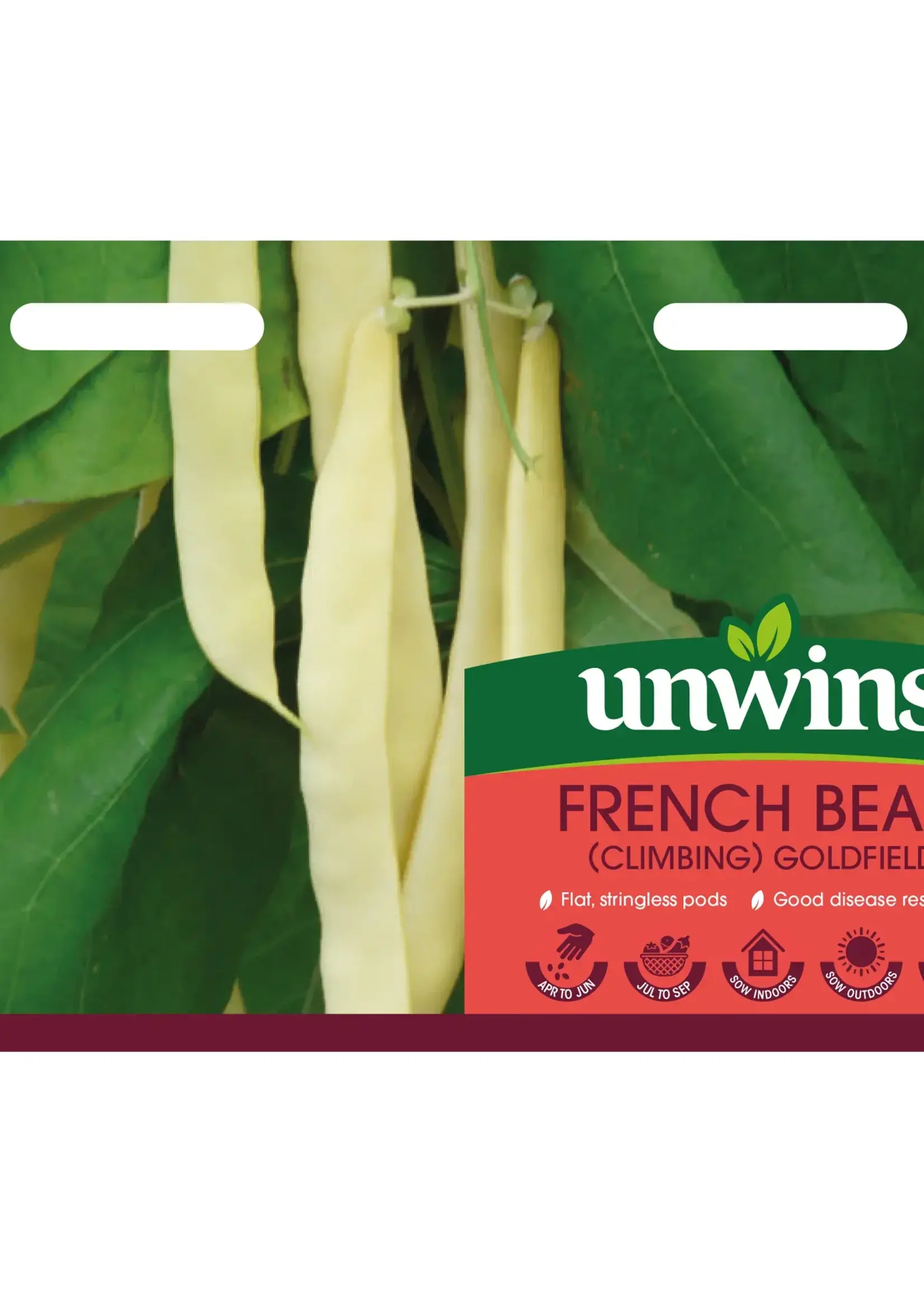 Unwins French Bean- Climbing Goldfield