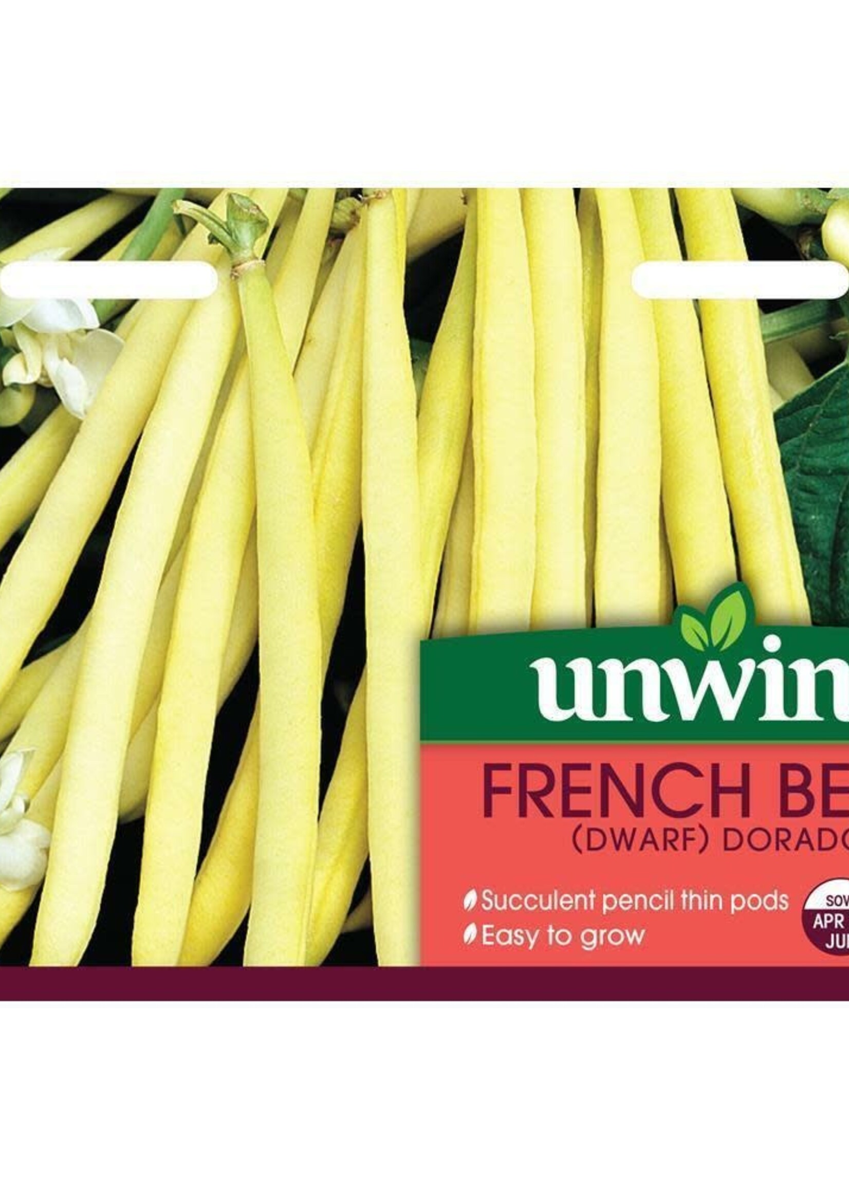 Unwins French Bean (Dwarf) - Dorado