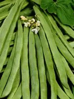 Unwins Runner Bean - White Emergo