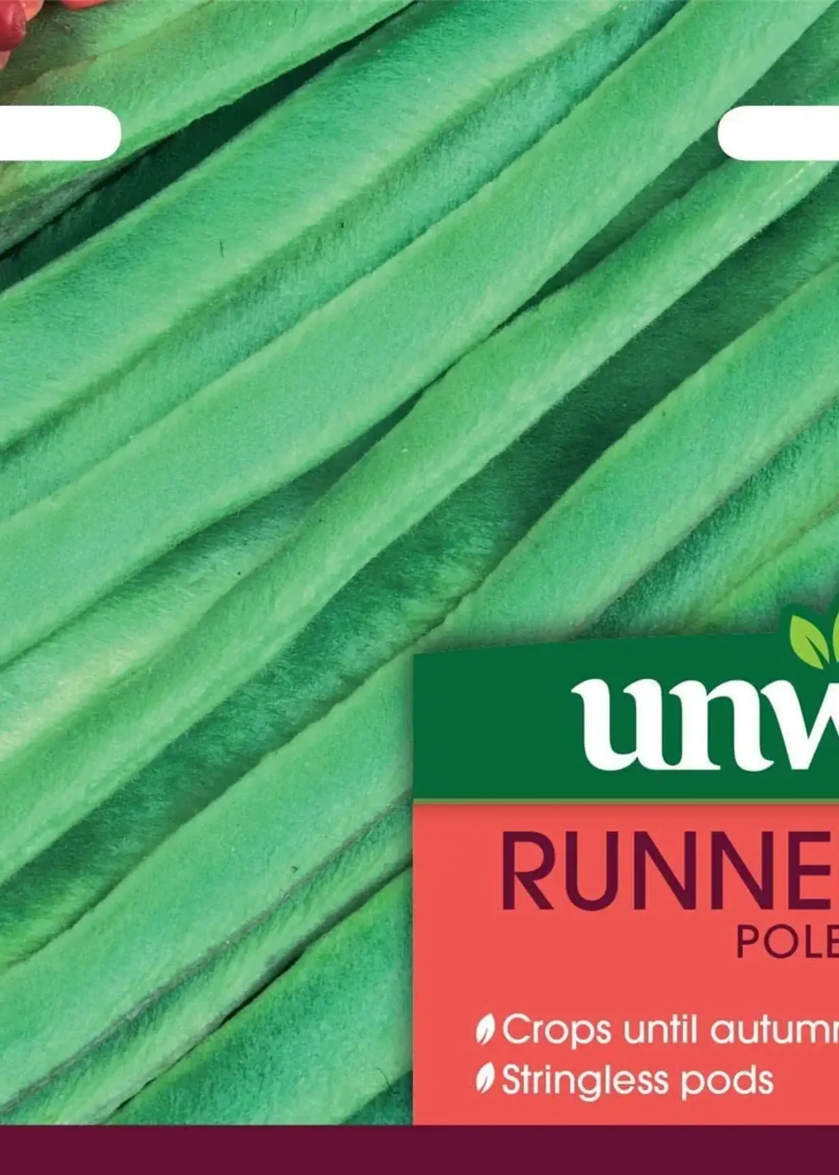 Unwins Runner Bean - Polestar